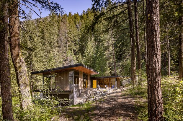 A compact modern cabin nestled among dense alpine or mountain forest. The single-storey structure features a low-pitched near-flat roof with deep eaves, extensive glazing, warm timber cladding and exposed concrete elements. A stepped path leads through the trees to the entrance, with a second glazed timber volume visible behind the main pavilion.