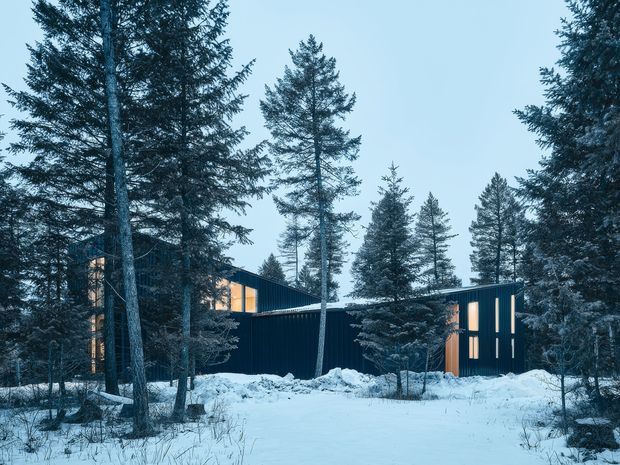 Exterior view of a dark-clad contemporary building nestled among tall evergreen trees in a snowy forest setting. The low, angular form has vertical window openings glowing with warm interior light, creating a strong contrast with the cool blue winter landscape.
