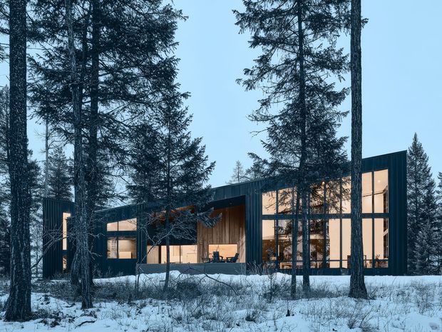 A modern single-storey house set among a snow-covered conifer forest. The dark, vertically clad facade has a low, angular roofline and extensive floor-to-ceiling glazing, with warm interior light visible through the windows. The building is viewed externally from the surrounding woodland in a cool blue winter atmosphere.
