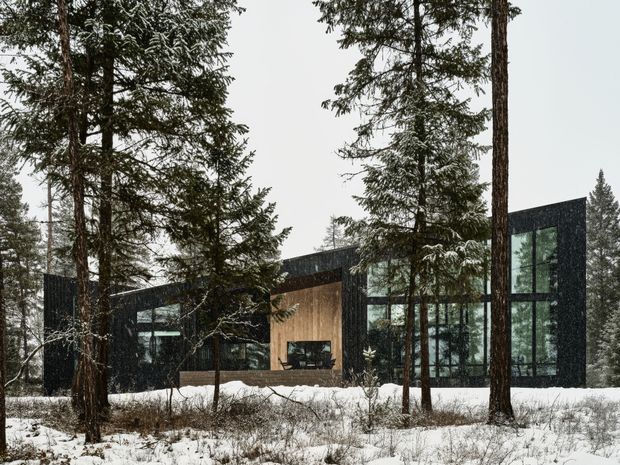 A contemporary dark-clad house set within a snowy forest, featuring a low, angular roofline, expansive floor-to-ceiling glazing, and a warm timber-lined recessed entrance or central volume. Tall evergreen trees frame the building and emphasize its secluded woodland setting.