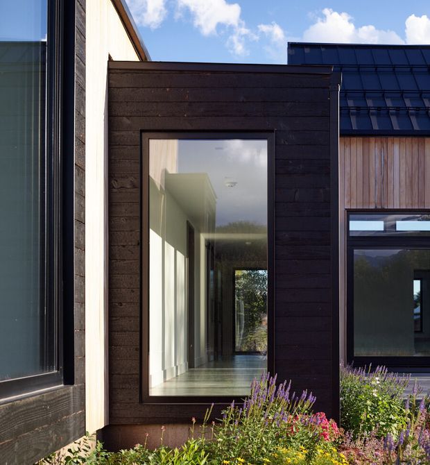 Exterior architectural photograph of a contemporary multi-volume house. Dark horizontal timber cladding frames a large glazed opening into a bright hallway, while pale vertical cladding and warm timber panels create contrast. Black-framed windows, a projecting roofline, and crisp geometric massing are visible, with landscaped flowering planting in the foreground and blue sky above.
