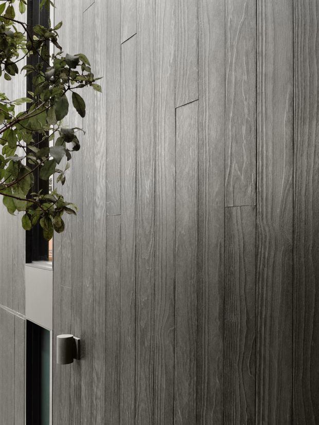 Close-up architectural view of a dark grey vertical timber-look cladding wall with staggered narrow panel joints. A leafy planted feature partially overlaps the left side, with a small cylindrical wall light and a narrow dark opening visible. The composition is minimalist and monochromatic, focused on the textured facade surface.