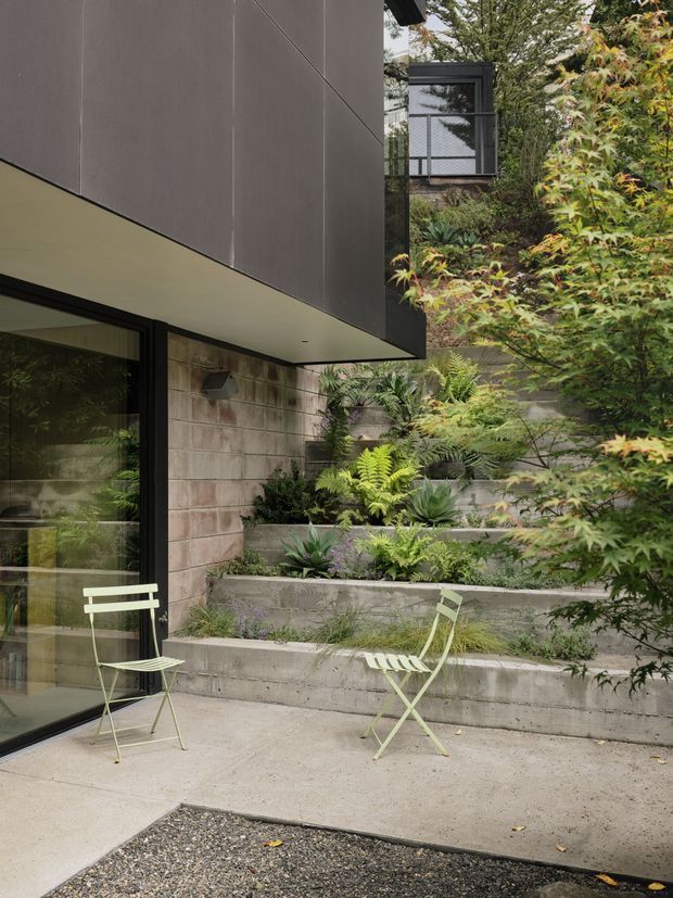 A contemporary residential courtyard viewed from an outdoor paved patio. The scene features a projecting upper volume clad in dark grey panels, a black-framed glazed sliding door, a raw concrete block wall, and stepped concrete garden beds densely planted with ferns and succulents. Two light-coloured folding chairs sit on the patio beside a gravel surface. A neighbouring or upper-level window is visible through the planting.