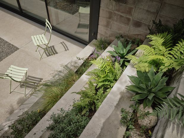 Elevated view of a landscaped stepped courtyard beside a dark-framed glazed facade. Broad concrete or stone-edged planting terraces contain lush ferns, agave-like succulents and grasses, while two pale folding chairs sit on a light paved terrace. A textured concrete block wall forms the backdrop, creating a calm, organic modern outdoor space.