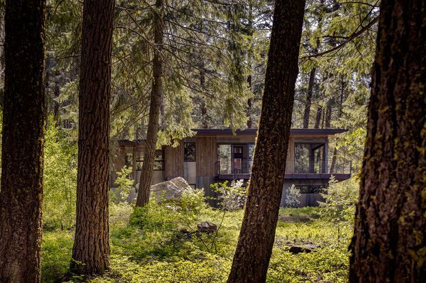 A low, modern timber-clad house is partially concealed among mature forest trees. The single-storey building has a flat or very low-pitched roof, large windows, and a dark raised base, with dense natural woodland surrounding it.