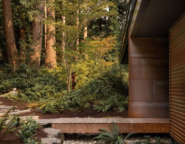 A close exterior view of a contemporary structure nestled within dense mature woodland. The building has dark metal or timber-like cladding, a deep projecting roof edge, and a louvred screen beside a sheltered timber deck or walkway. Natural stone edging, gravel, ferns, and layered forest planting integrate the architecture with the landscape.