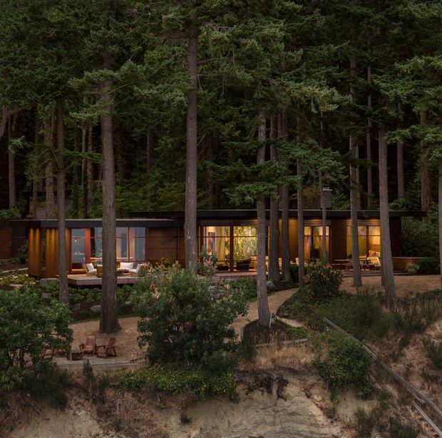 A low, modern single-storey house nestled among tall dense evergreen trees on a wooded, sloping site. The dark horizontal facade has extensive floor-to-ceiling glazing and warm interior lighting, with an outdoor deck and landscaped garden terraces in the foreground. The image is photographed from outside at dusk, with the forest setting dominating the composition.