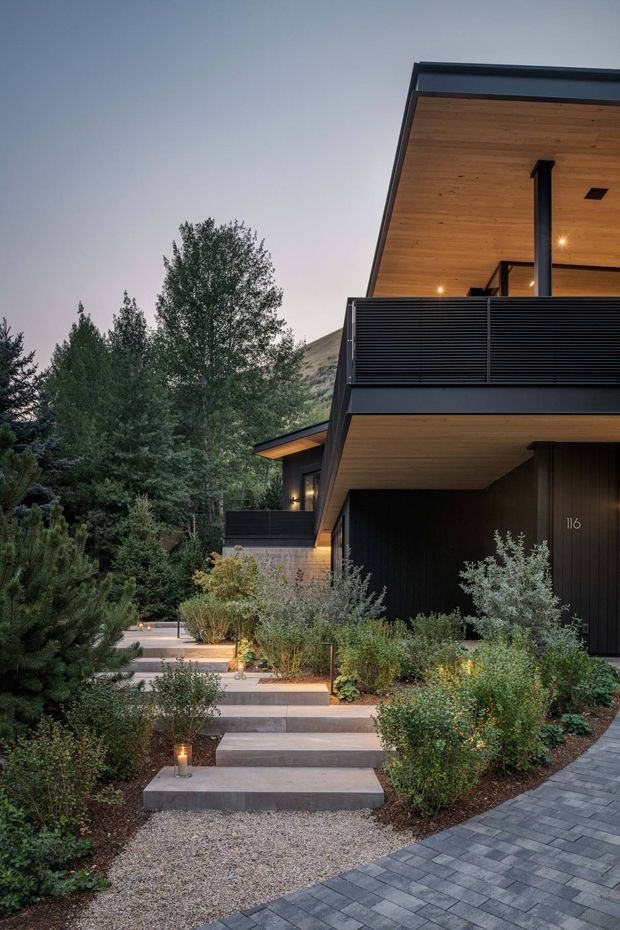 Exterior view of a contemporary multi-level residence set into a wooded, sloping landscape. The home features dark vertical cladding, broad cantilevered roof overhangs, warm timber soffits, black metal balcony screening and integrated exterior lighting. Concrete steps rise through layered planting to the entry, alongside a dark paved walkway.