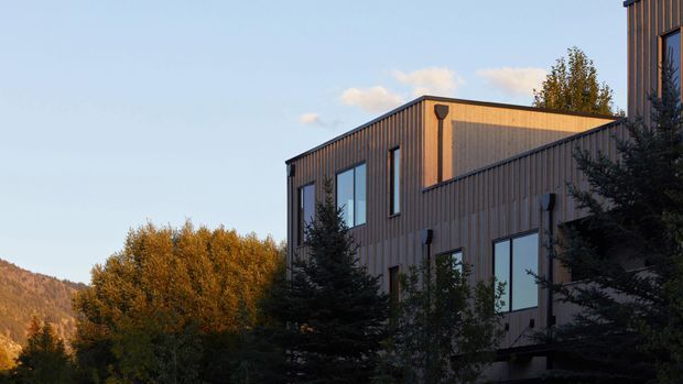 Exterior view of a modern multi-level building with simple cubic volumes, vertical dark timber or wood-look cladding, large rectangular windows, and a flat roof. The building is set among mature trees with a mountainous landscape visible in the background, illuminated by warm low-angle sunlight.