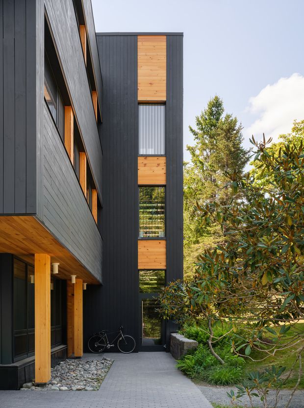 Exterior view of a contemporary multi-storey residence with dark vertical cladding, warm timber soffits and timber infill panels, and tall glazed openings. A paved entry path leads between the building and landscaped garden, with exposed timber posts, pebble landscaping, and dense mature planting visible around the facade.
