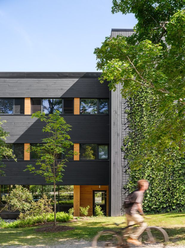Exterior photograph of a contemporary multi-storey building with a dark horizontal-clad facade, extensive black-framed glazing, warm timber window and entry accents, and a tall grey-clad vertical volume. A lush planted green wall climbs the side of the building, with mature landscaping and a blurred cyclist in the foreground.