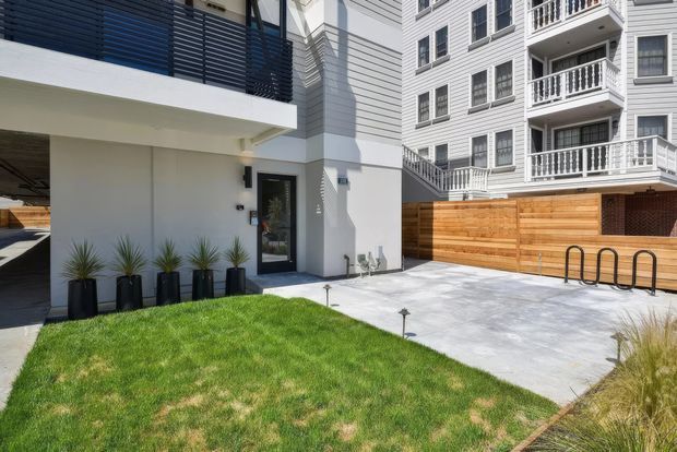 A contemporary residential courtyard and entry area with white rendered walls, a dark louvred balcony screen, and a black-framed glass entry door. The space includes a paved concrete forecourt, a warm timber privacy fence, black planters with ornamental grasses, lawn, and bicycle racks. A multi-storey apartment building with white weatherboard-style cladding and balcony railings is visible beyond.