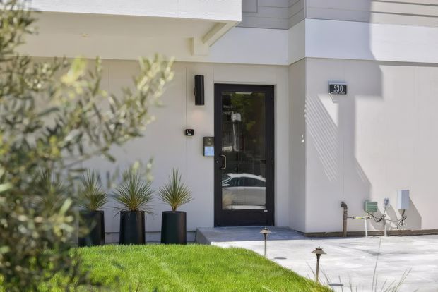Contemporary residential front entry with a dark glazed door, pale rendered walls, horizontal cladding details, address plaque, potted architectural plants, and a small paved approach bordered by lawn.