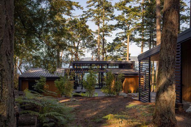 A low-profile modern home nestled among mature trees in a wooded setting. The building features dark timber-clad volumes, extensive horizontal glazing, shallow metal roofs, and a slatted screen or entry structure. Ferns, understory planting, and large tree trunks frame a natural pathway leading toward the house.