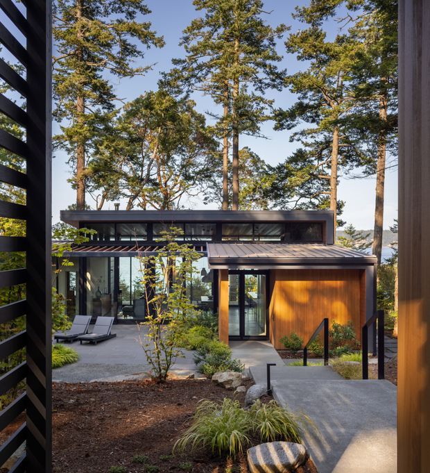 Exterior view of a contemporary, low-profile timber-and-glass house set among mature trees. The composition shows dark horizontal cladding and roof forms, extensive glazing, a warm timber-clad facade section, a paved courtyard with lounge chairs, landscaped planting, and a concrete path leading toward the building.