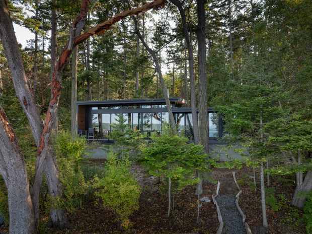 A modern, low-profile glass-fronted house nestled among dense woodland. The dark horizontal roofline and extensive glazing are partially obscured by mature trees and natural vegetation, with a narrow gravel path leading toward the building. The setting feels secluded and integrated with the forest.