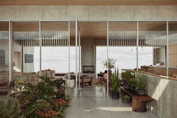 A refined contemporary interior viewed through extensive floor-to-ceiling glazing, with a living area and fireplace centrally positioned, a dining or kitchen zone to the right, and abundant indoor planting in the foreground. The space combines warm timber ceiling and wall lining, exposed concrete surfaces, slim metal-framed glass partitions, and polished concrete flooring. Soft daylight, natural materials, and greenery create an airy, calm atmosphere.
