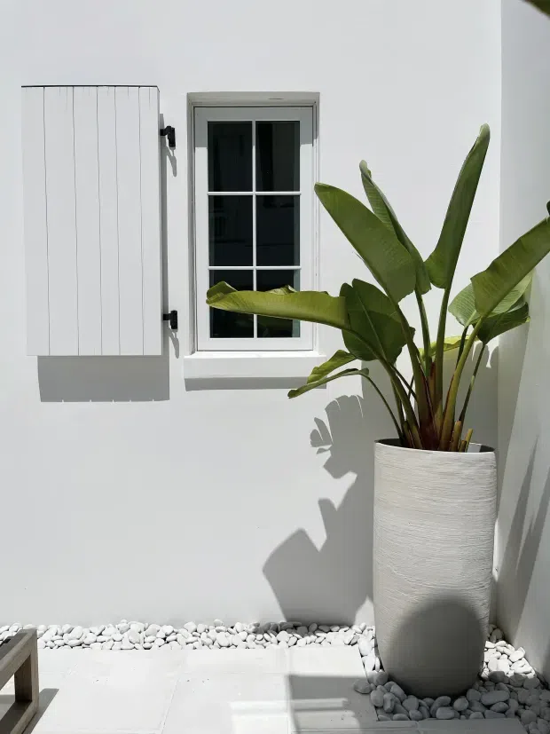 Bright minimalist courtyard detail with a white rendered wall, a traditional multi-pane window and white exterior shutter, and a tall tropical plant in a textured cylindrical planter. White pebble landscaping and pale paving create a clean, sunlit exterior setting with strong plant shadows.