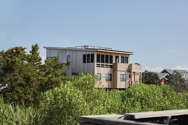 Exterior view of a contemporary multi-level house partially screened by dense vegetation. The building has a simple flat roof with a rooftop guardrail, vertically clad light-grey walls, large dark-framed windows, projecting box-like volumes, and timber-toned balcony or screening elements. Neighbouring homes are visible in the background.