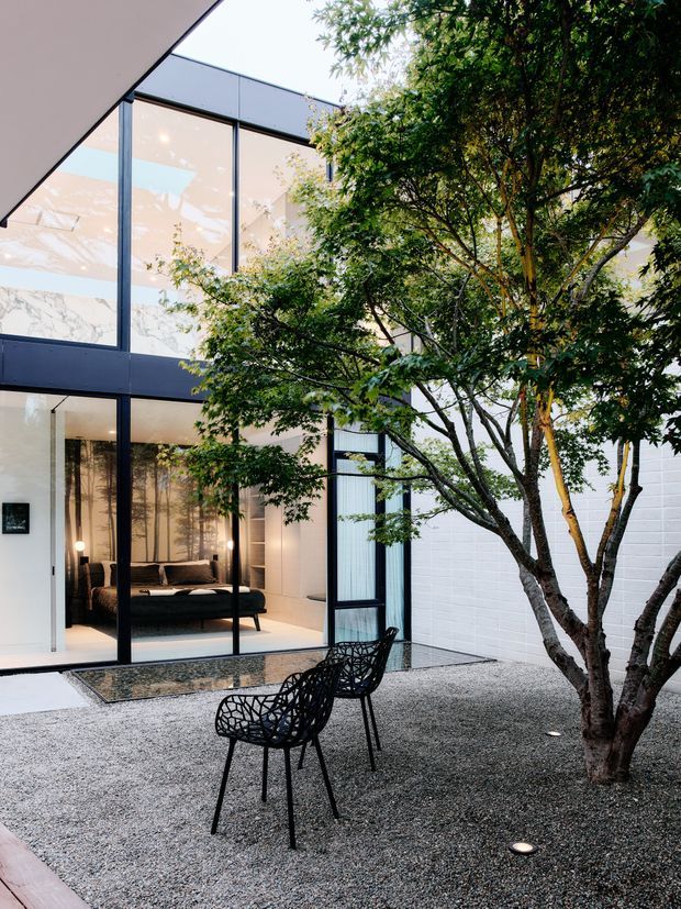 A contemporary courtyard viewed from outdoors, featuring a minimalist two-storey glass pavilion with dark metal window frames, a white masonry wall, and a mature multi-trunk tree set in a fine gravel landscape. Two black sculptural outdoor chairs sit in the foreground, while a warmly lit living room is visible through the floor-to-ceiling glazing.