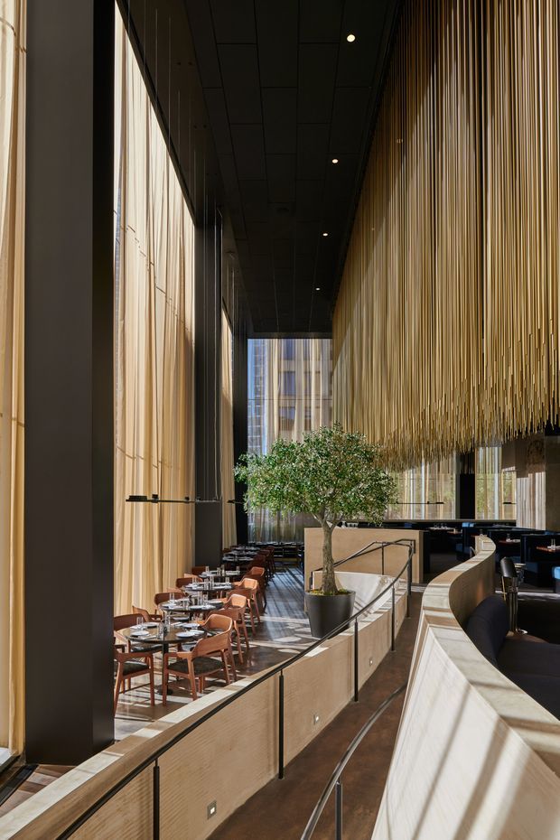 A tall, sophisticated commercial dining and bar interior with a long narrow layout, floor-to-ceiling glazing on one side, and a dramatic suspended installation of vertical golden timber or metal rods along the opposite wall. The space includes neatly arranged dining tables and terracotta-toned chairs, a central potted tree, dark ceilings with recessed lighting, pale wood-toned balustrades and joinery, and a curved bar or banquette area. The architecture feels contemporary and refined, with strong verticality and abundant filtered daylight.