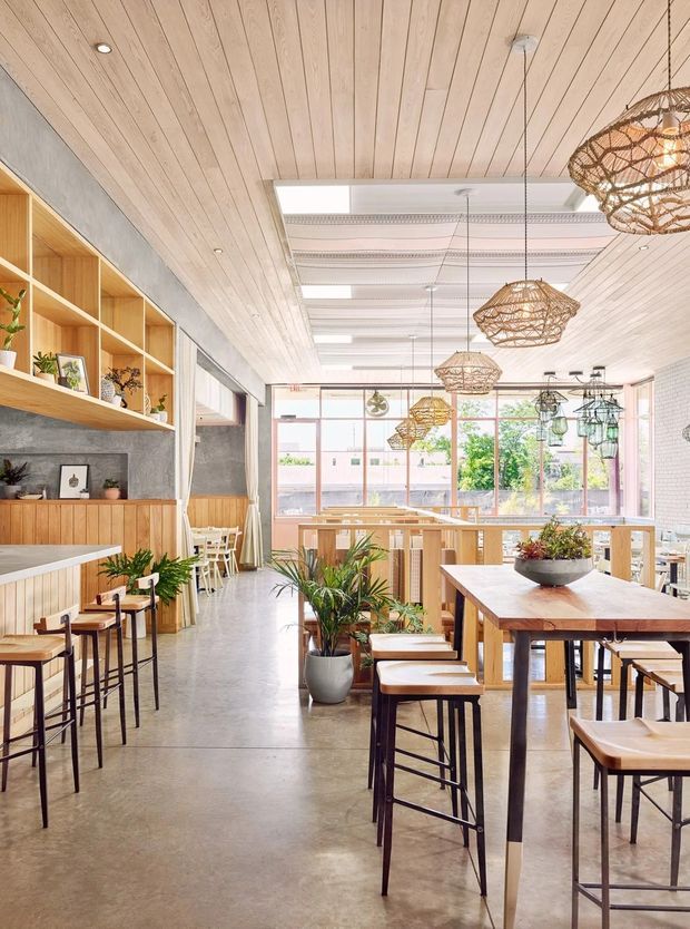 Bright, contemporary café interior with an open dining layout, polished concrete floor, timber-lined ceiling and walls, built-in timber shelving and cabinetry, large glazed windows, communal tables, stools, hanging woven pendant lights, and abundant indoor plants.