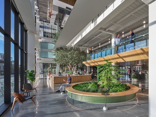 A bright, spacious multi-level commercial atrium or lobby with floor-to-ceiling glazing, polished dark stone flooring, exposed structural ceilings, glass balustrades, timber-clad balcony edges, and a large circular built-in planter with mature indoor trees and lush greenery. Informal lounge seating and a reception or café-style counter occupy the ground floor, with people using the upper mezzanine and open circulation spaces.