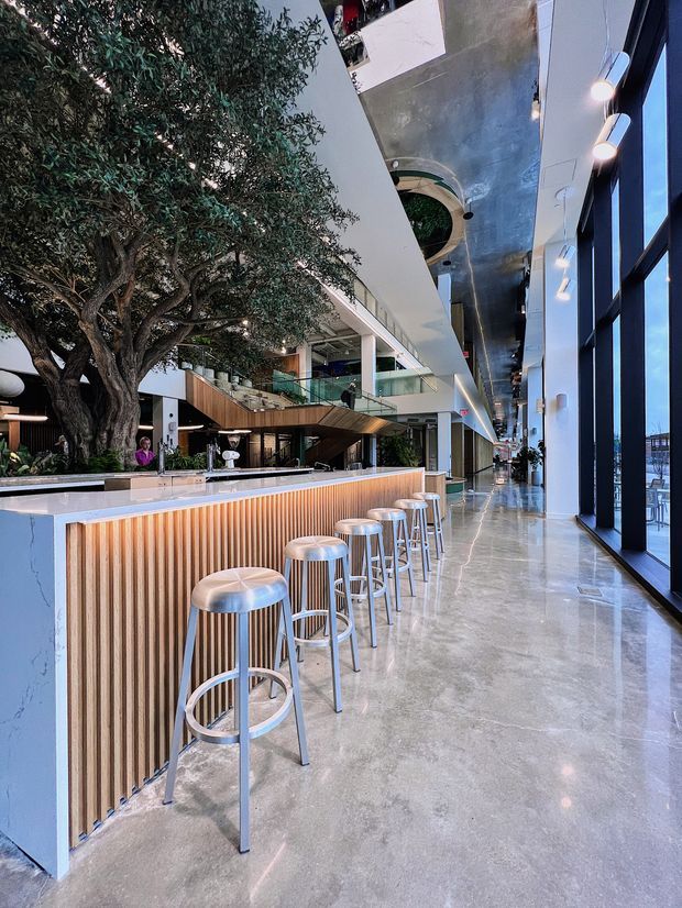 A contemporary commercial interior featuring a long bar or café counter with vertical timber slat detailing, pale stone or solid-surface benchtop, and a row of metal stools. A large mature indoor tree forms a central feature beside an open multi-level atrium with glass balustrades, sculptural stairs, polished concrete flooring, exposed metallic ceiling surfaces, and full-height glazing along the right side.