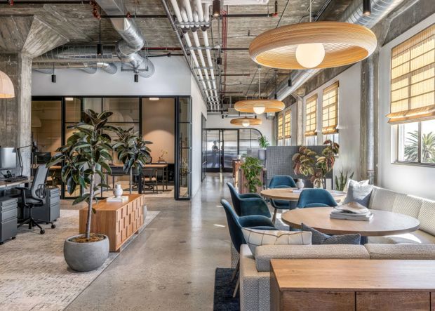 A bright open-plan commercial office and lounge interior with exposed concrete columns, an exposed services ceiling, polished concrete flooring, black-framed glazed meeting rooms, and a row of large windows with timber blinds. The space combines workstations with a relaxed hospitality-style seating area, including curved upholstered lounge chairs, sofas, round timber tables, indoor plants, and large sculptural timber-and-wood pendant lights.