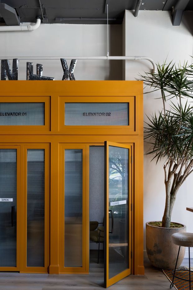 Interior view of a contemporary commercial or office entry area featuring a striking mustard-orange glazed partition and door assembly with ribbed translucent glass. The partition includes multiple framed panels and signage, with an open door revealing a small workspace beyond. Exposed dark ceiling services and pipes create an industrial character, while a large potted dracaena adds greenery beside the entry.
