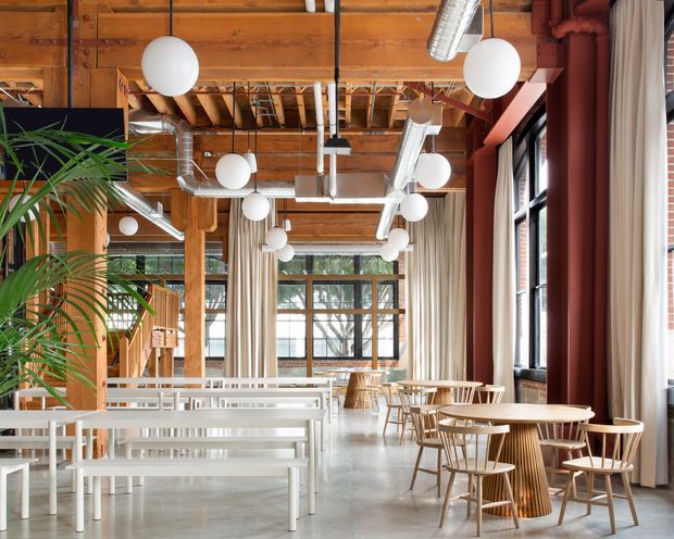 Open-plan commercial hospitality or dining space with a warm timber post-and-beam structure, exposed timber ceiling and visible silver ventilation ductwork. Large black-framed windows with full-height curtains line the right side and rear, while white globe pendant lights hang throughout. The room contains rows of white communal tables and benches in the foreground and smaller timber café tables and chairs near the windows. Concrete-look flooring, abundant greenery, and a warm industrial-contemporary fit-out create a bright, airy atmosphere.