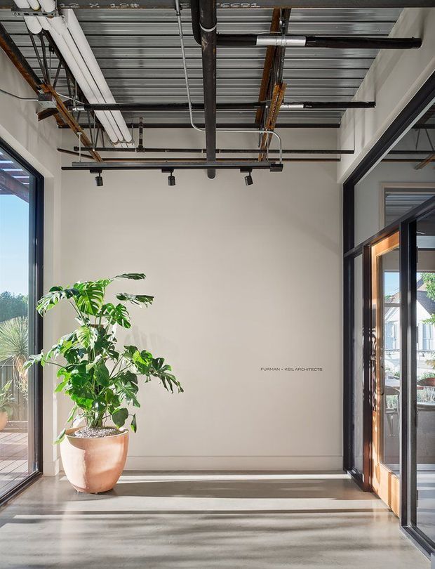 A bright industrial-style interior entry or circulation space with polished concrete flooring, white walls, extensive exposed services and corrugated metal ceiling panels. Black-painted steel-framed glazing and doors open to an exterior terrace, while a large potted tropical plant adds greenery. Track lighting is suspended from the exposed ceiling structure.