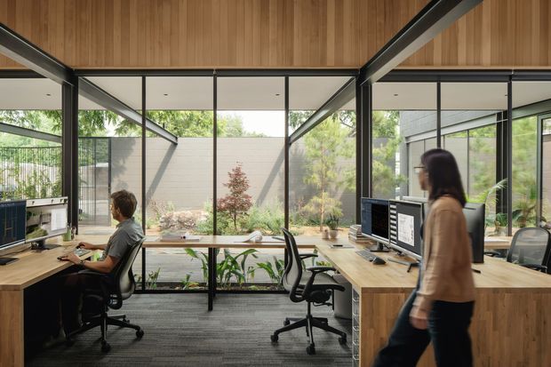 A bright contemporary office interior arranged around a landscaped courtyard. Timber-clad ceiling panels, exposed dark structural beams, extensive floor-to-ceiling glazing, and warm timber workstations define the space. Several computer workstations and ergonomic office chairs are visible, with a person walking through the foreground.