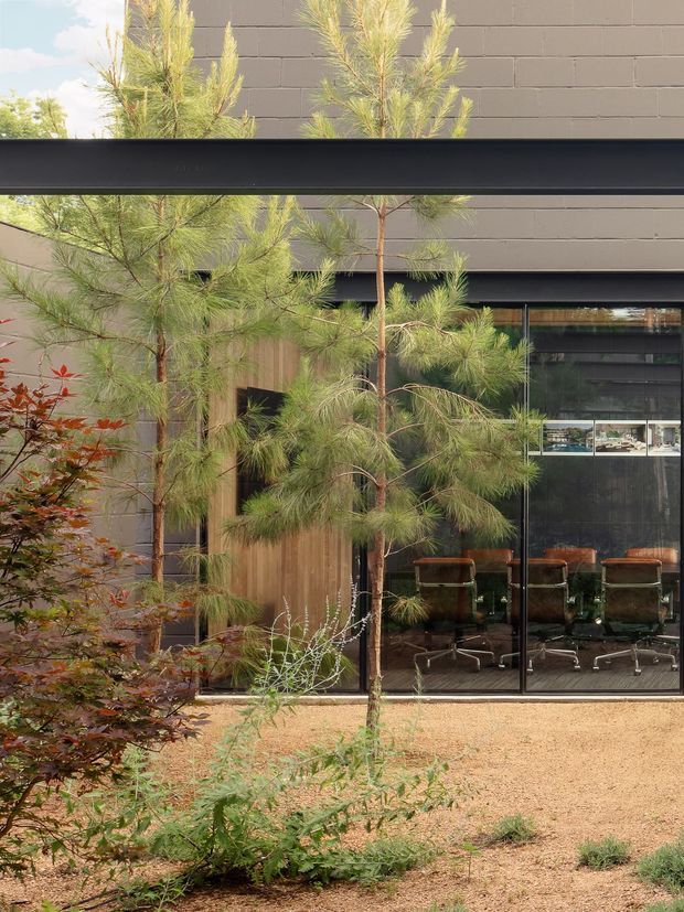 Exterior view of a contemporary building with dark masonry walls, broad black roof or canopy lines, timber entry doors, and extensive floor-to-ceiling glazing. A landscaped courtyard with slender pine trees and low planting screens the facade, while an office or meeting space with desks and chairs is visible through the glass.