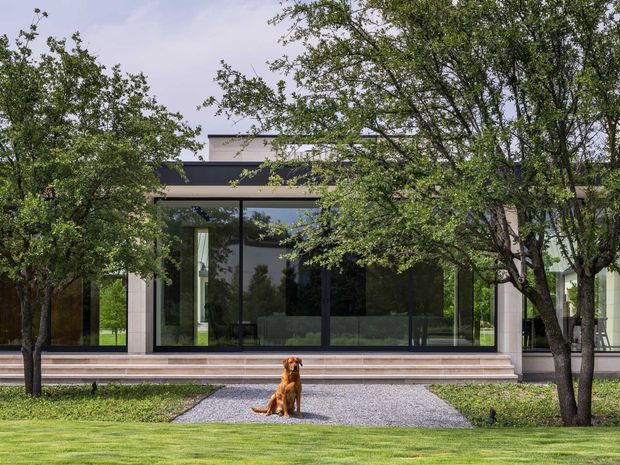 A contemporary single-storey pavilion-like house viewed from the landscaped front garden. The facade features extensive floor-to-ceiling dark-framed glazing, pale stone or rendered structural piers, a broad dark horizontal roof band, and wide shallow steps leading to a gravel path. Mature trees and clipped lawn frame the building, with a dog seated in the foreground.
