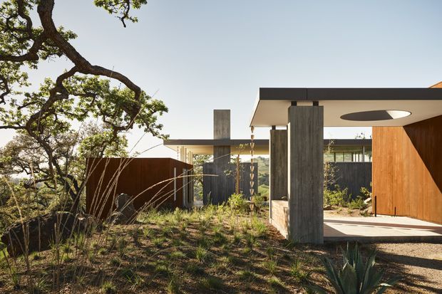 Contemporary single-storey residential exterior set within a landscaped, wooded site. The composition features a flat roof with broad overhangs, exposed concrete or stone-like structural columns, warm timber-clad walls, dark metal screening, and a covered outdoor entry or terrace. Native planting and mature trees surround the architecture, while a circular roof opening adds a distinctive sculptural detail.