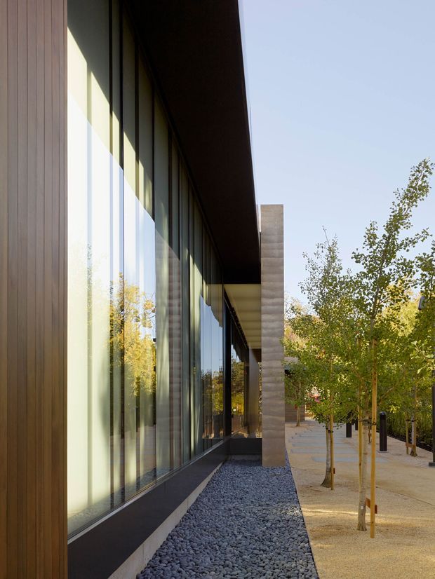 Exterior architectural view of a contemporary building with tall floor-to-ceiling glazed curtain walls, warm vertical timber cladding, deep dark roof overhangs, and slender concrete columns. A gravel drainage strip borders the facade, with a landscaped pedestrian walkway and young trees alongside. The composition emphasizes strong linear geometry, reflective glazing, and a restrained natural material palette.