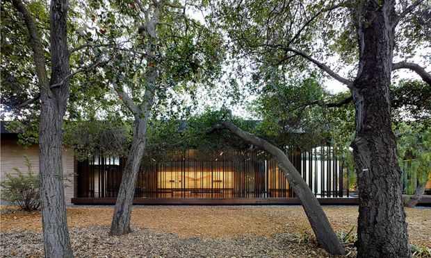 A low, modern building is partially screened by mature trees and dense landscaping. The facade features warm timber-toned wall panels, extensive glazing, and a distinctive vertical black metal or timber batten screen, with a long covered walkway or terrace along the front. The ground is covered with natural mulch and gravel, creating a sheltered, wooded setting.