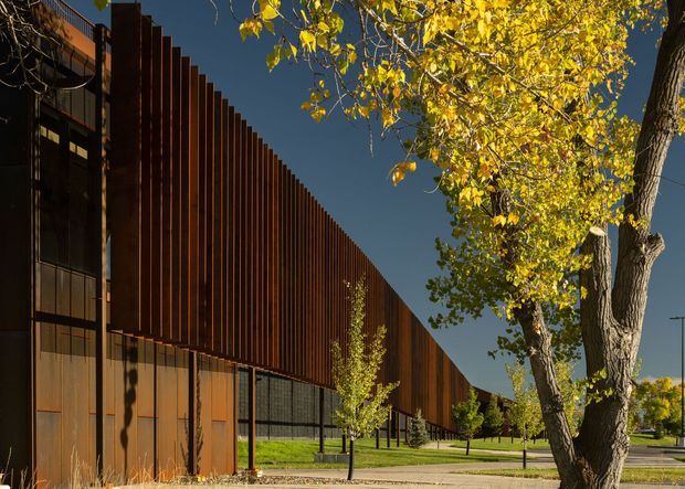 Exterior view of a long contemporary building with a strong linear facade composed of closely spaced vertical dark timber-toned fins over a darker base. Glazed sections and recessed openings run along the lower level, while mature deciduous trees and landscaped lawn frame the building. The low-angle sunlight and autumn foliage create a warm, refined institutional or commercial setting.