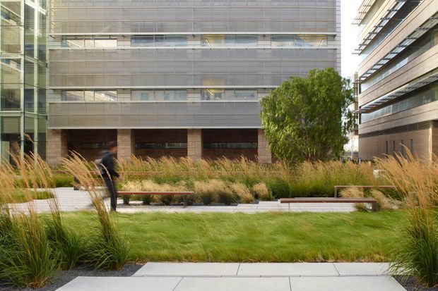 A landscaped urban courtyard between contemporary multi-storey buildings, featuring layered grasses, a central lawn, paved paths, benches, and a small tree. The surrounding architecture uses horizontal bands, extensive glazing, and screened or metal-clad facades.