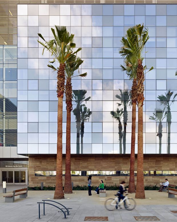 Exterior view of a contemporary commercial building with a large blue-grey reflective gridded glass curtain wall, horizontal timber-toned cladding at the lower level, and tall palm trees lining a paved public forecourt. Benches, bicycle racks, pedestrians, and a cyclist occupy the plaza.