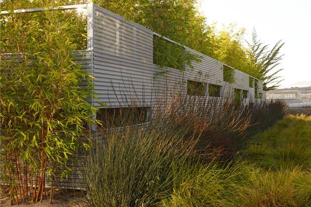 Exterior view of a low, elongated contemporary building partially screened by dense landscaping. The facade uses horizontal corrugated metal cladding with narrow rectangular windows and a projecting or stepped roofline, surrounded by bamboo, shrubs, and grasses.
