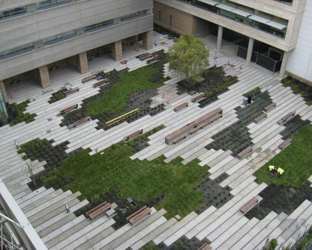 Elevated view of a landscaped urban courtyard between contemporary multi-storey buildings. The plaza features extensive light-coloured rectangular paving, irregular green lawn and planted areas, numerous timber benches, a central tree, and covered building entrances with exposed structural columns.