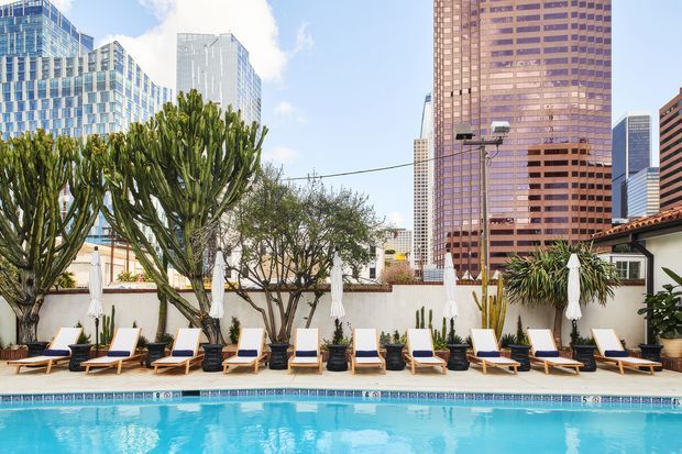 A rooftop or elevated outdoor pool terrace with a bright blue swimming pool in the foreground, lined with timber-framed lounge chairs, closed white umbrellas, potted cacti and sculptural trees. A low white perimeter wall and surrounding high-rise office and apartment buildings create an urban city setting. The scene is sunny, open and resort-like.