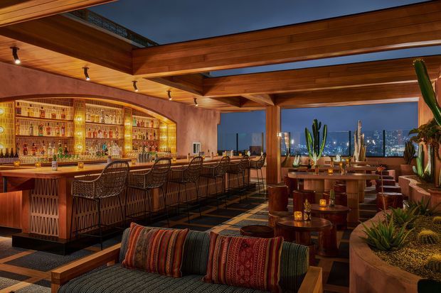 A warmly lit, upscale bar and lounge interior with an extensive illuminated bottle display, timber bar counter, woven bar stools, exposed timber ceiling beams, patterned flooring, low lounge seating, and abundant potted cacti and succulents. Large windows overlook a city skyline at dusk, creating a dramatic urban atmosphere.