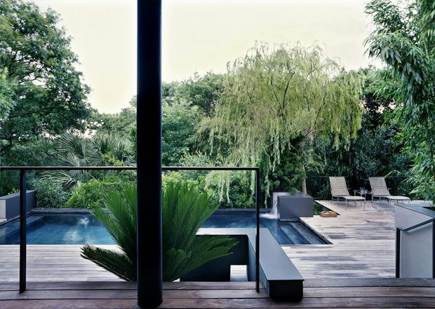View from a modern interior through large floor-to-ceiling glazing onto a landscaped timber deck and pool terrace. The outdoor area features dark-framed glass balustrades, a narrow reflecting or plunge pool, built-in dark grey planters and seating, pale timber decking, and dense mature greenery including palms and a weeping tree.