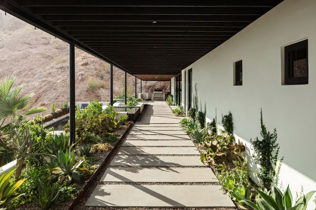 A long, covered exterior walkway alongside a minimalist white building. The path is paved with large rectangular concrete slabs separated by narrow gravel joints, while raised planting beds contain drought-tolerant succulents and other architectural plants. Slim dark metal posts support a deep black exposed-beam canopy, with small dark-framed windows punctuating the white wall. The walkway overlooks a dry, rocky hillside and is strongly lit by warm natural sunlight.