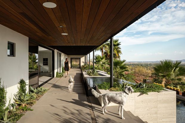 A contemporary covered outdoor walkway or terrace runs along a modern residence, with a dark timber-lined soffit, slim black posts, concrete paving, glazing, and integrated raised planters. Palm and drought-tolerant planting frame views across the surrounding landscape, while two dogs and a person occupy the space.