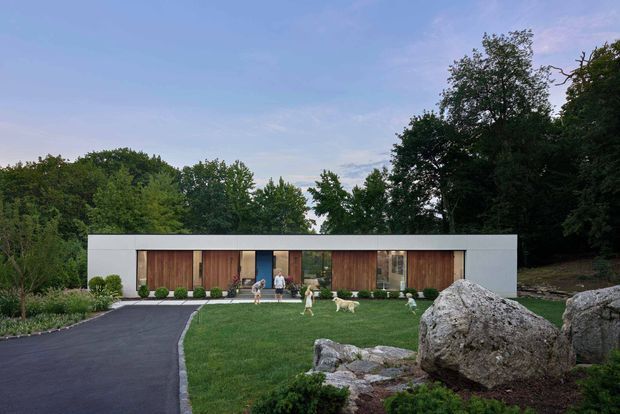 A low, single-storey modern house set within a wooded landscape. The long rectangular facade has a crisp white rendered frame, extensive warm timber-clad wall sections, and tall glazed openings. A dark paved driveway curves toward the entrance, with a manicured lawn, shrubs, large natural boulders, and several people and dogs in the foreground.