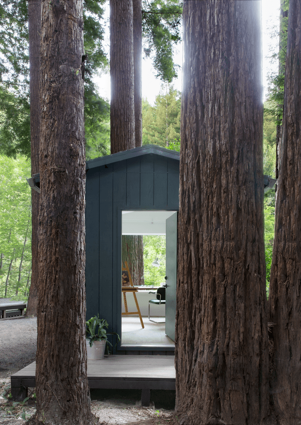 A compact dark-clad cabin or studio set among tall redwood trees. The simple gabled structure has vertical panel cladding, a glazed entry door, and a small timber deck. Through the opening, a bright minimalist workspace with a desk and chair is visible. The surrounding forest dominates the setting, creating a secluded woodland atmosphere.